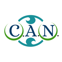 CAN Web Management - Website Design and Digital Marketing